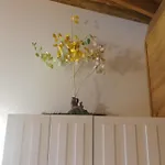Vandrarhem Da Moura *