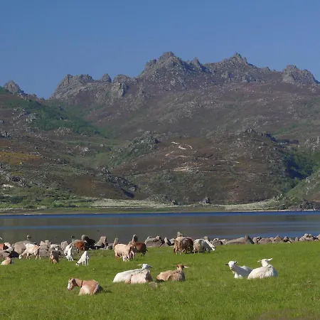 Da Moura Vandrerhjem *