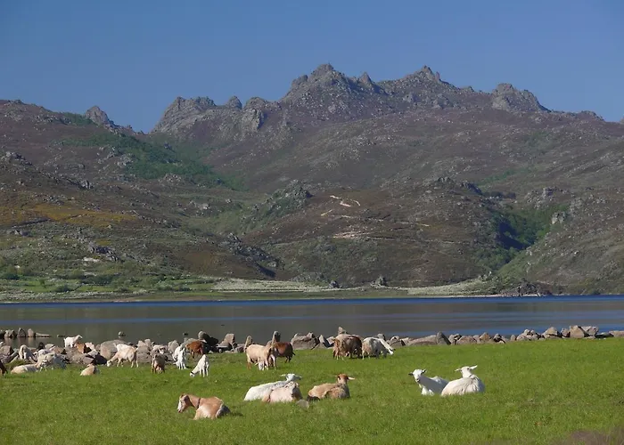 Da Moura Vandrerhjem *