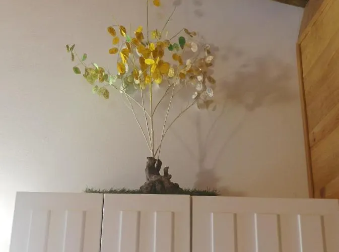 Хостел Da Moura *